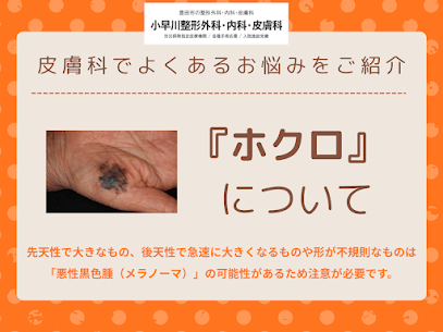 記事のサムネイル画像